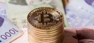 Bitcoin mining rig alongside Litecoin hardware showcasing comparative market appeal