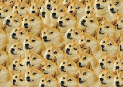 Dogecoin mining is a gamble with a cute face. Will the coins rain down or will the mining rig just be a expensive room heater?